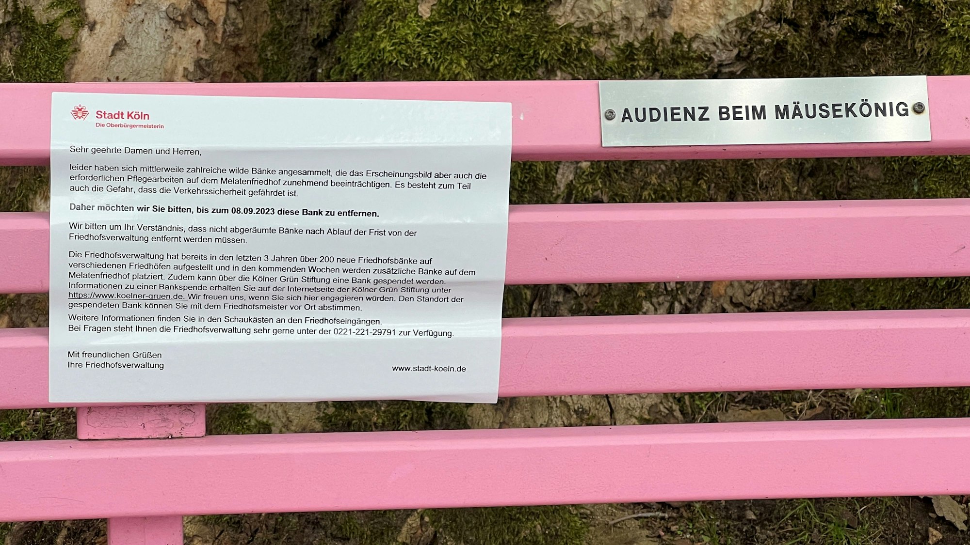 Hinweis der Stadt Köln an der Bank an Dirk Bachs Grab.