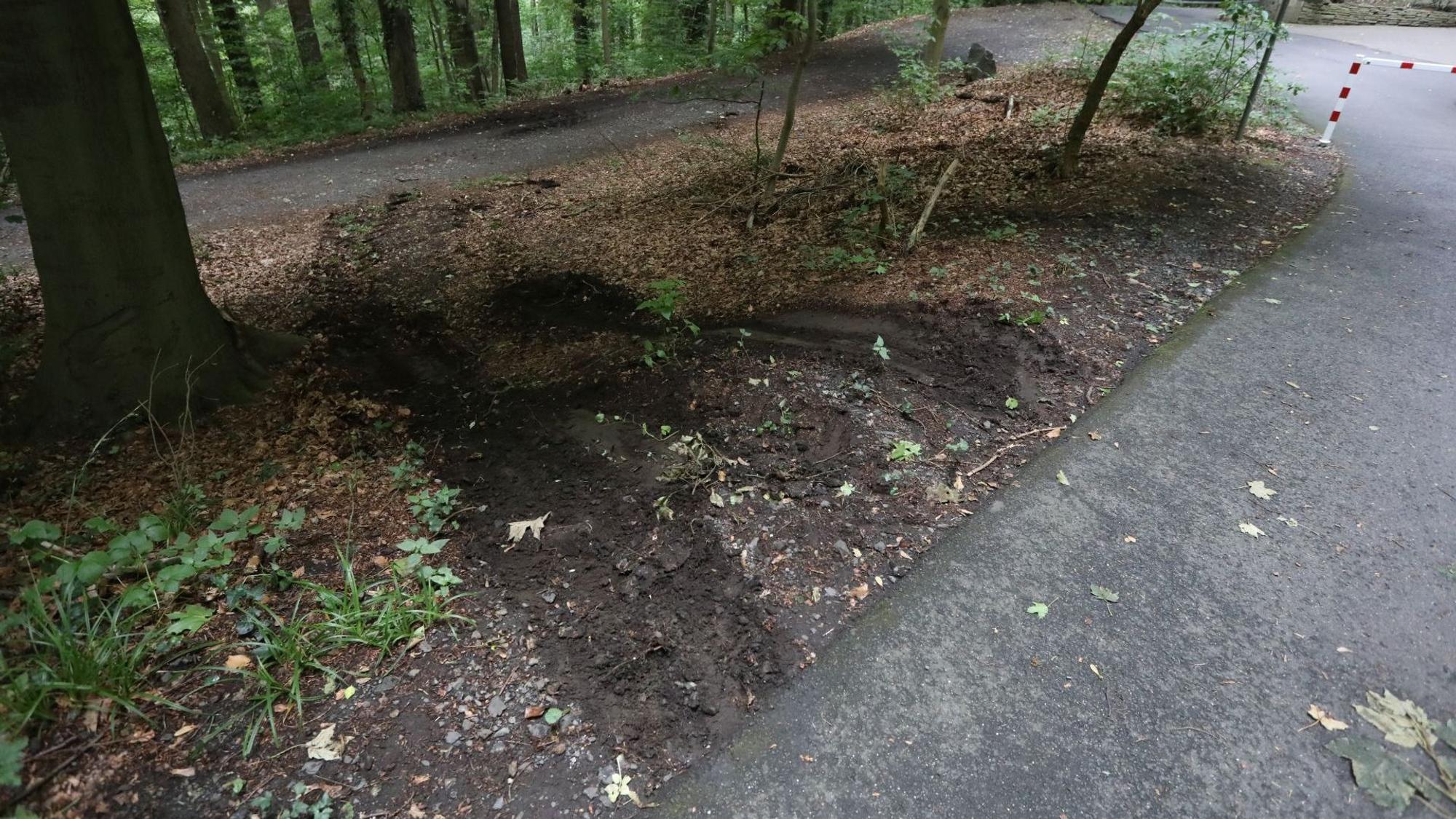 Fahrspuren auf dem Waldstück zeigen, dass Autofahrer die Schranke querfeldein umfahren.