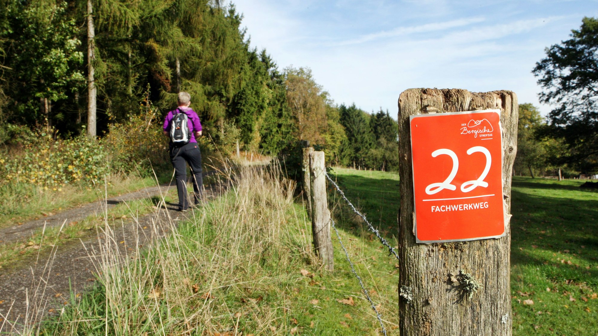 Eine wandernde Person unterwegs auf einem idyllischen Wanderweg.