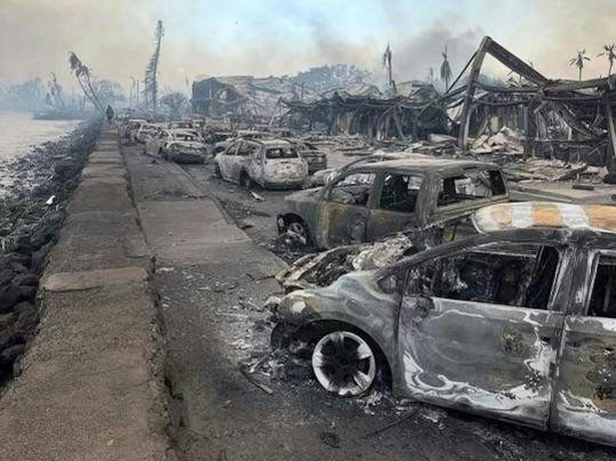 Ausgebrannte Autos stehen an einer Straße in Lahaina, während dahinter noch weißer Rauch vorbeizieht. Die Zerstörung in dem Küstenort ist riesengroß.