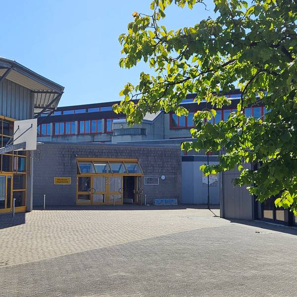 Ein junger Baum steht vor einem modern wirkenden grauen Schulgebäude mit gelben Fenster- und Türrahmen.