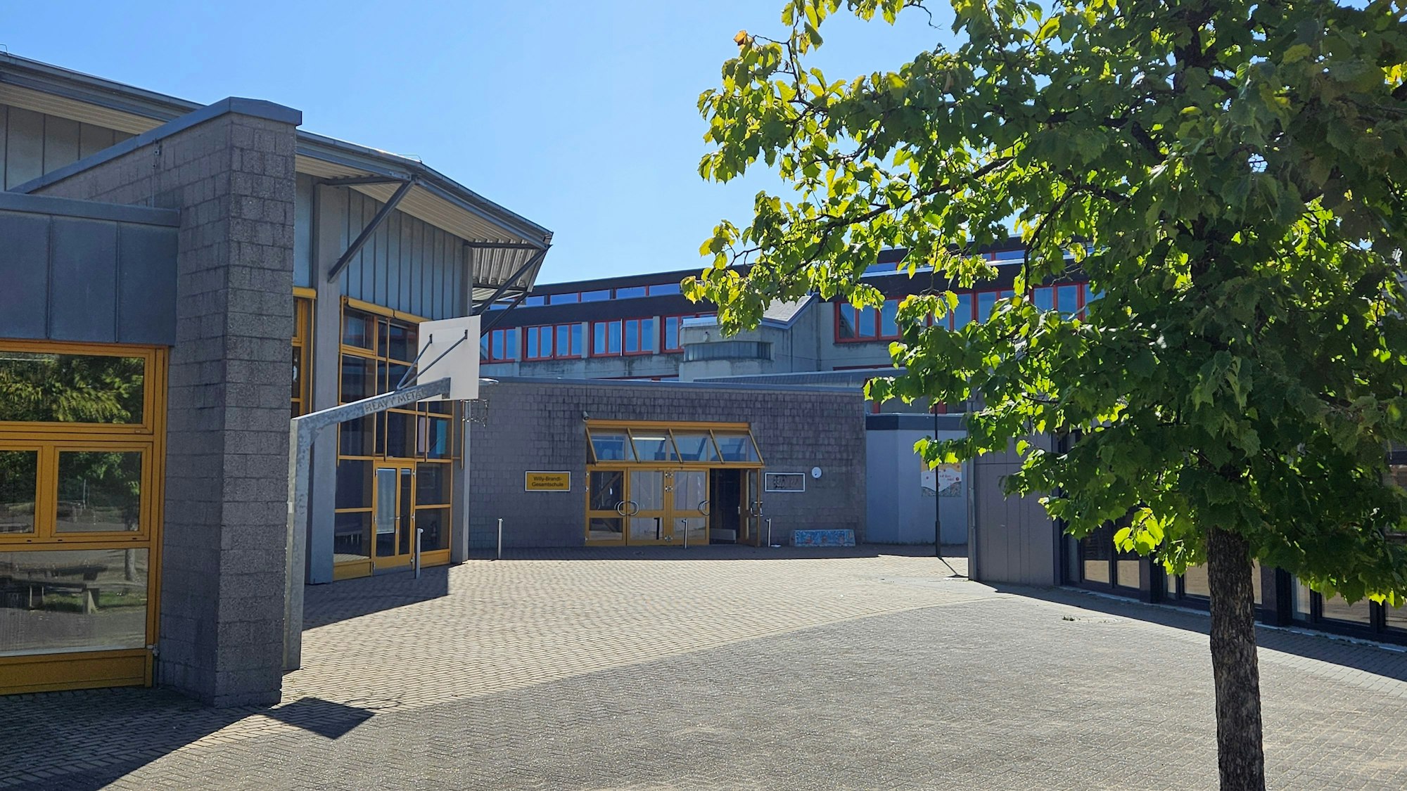 Ein junger Baum steht vor einem modern wirkenden grauen Schulgebäude mit gelben Fenster- und Türrahmen.