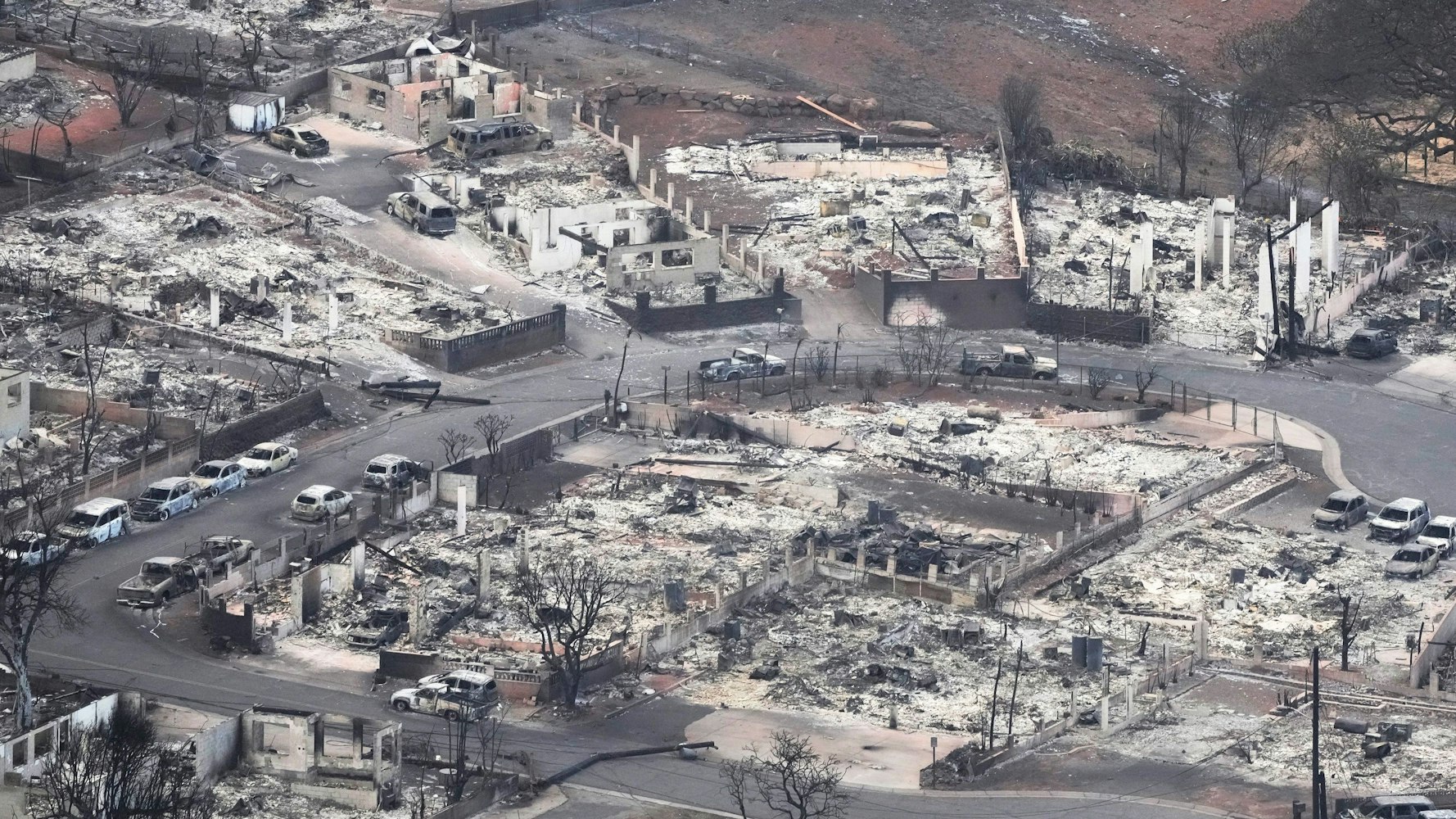 Eine durch einen Waldbrand zerstörte Gegend in Lahaina.