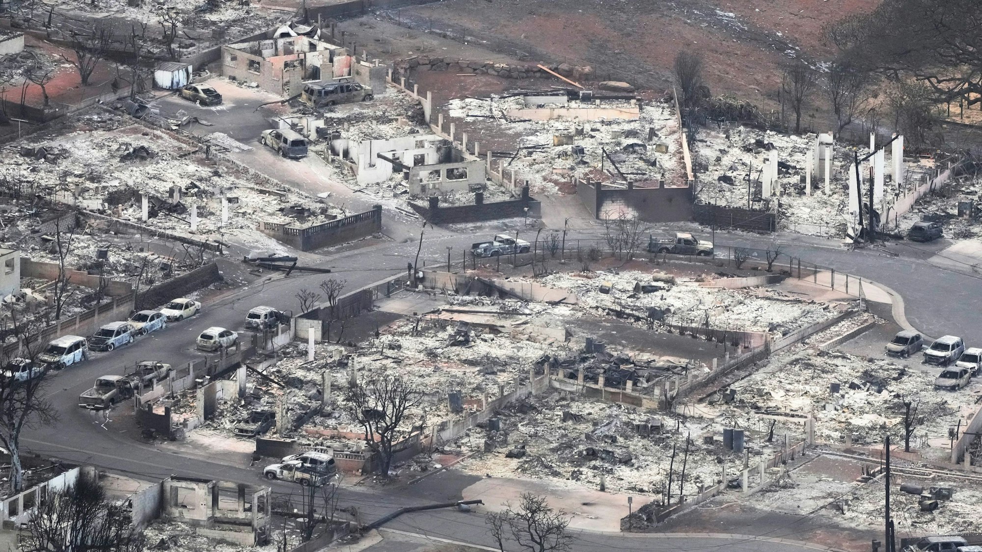 Eine durch einen Waldbrand zerstörte Gegend in Lahaina.