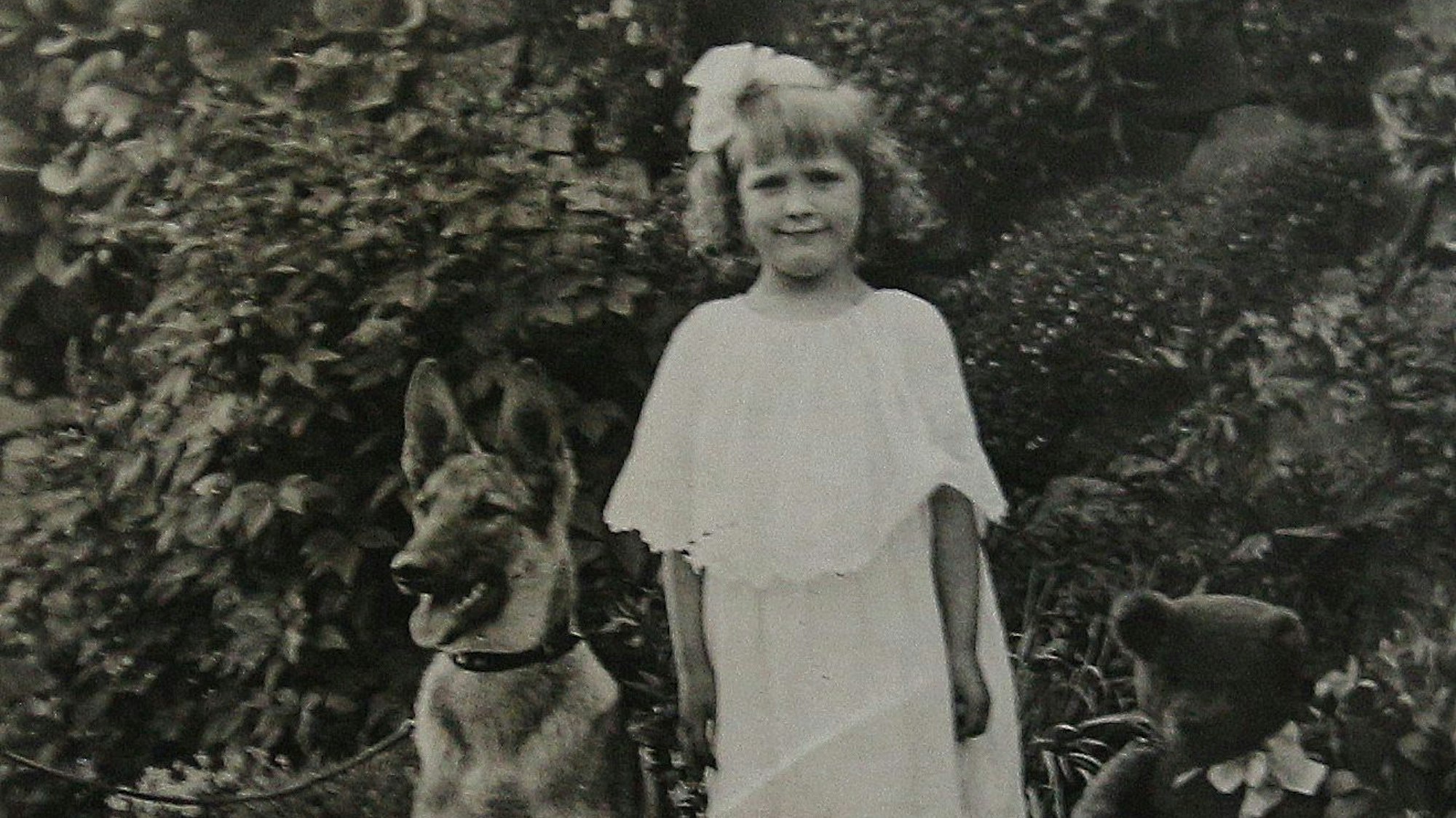Ein Schäferhund und ein Mädchen im weißen Kleid auf einem alten Schwarzweißfoto.