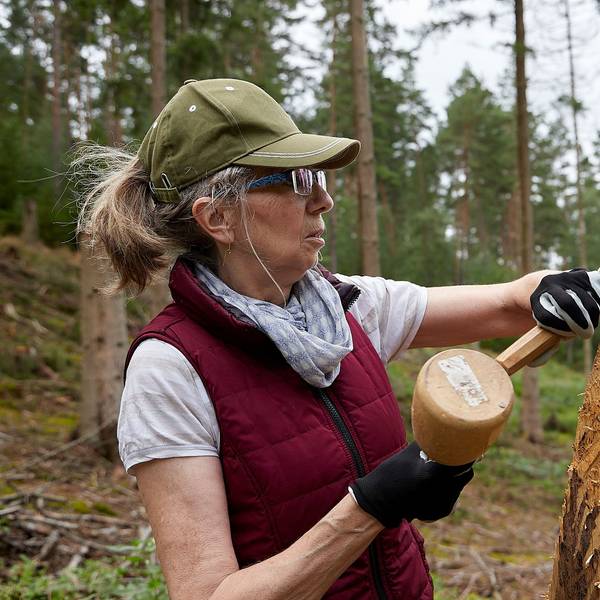 Vera Philipp hält Hammer und Meißel in der Hand und arbeitet an einer Holzfigur, die bereits aussieht wie ein Adler.
