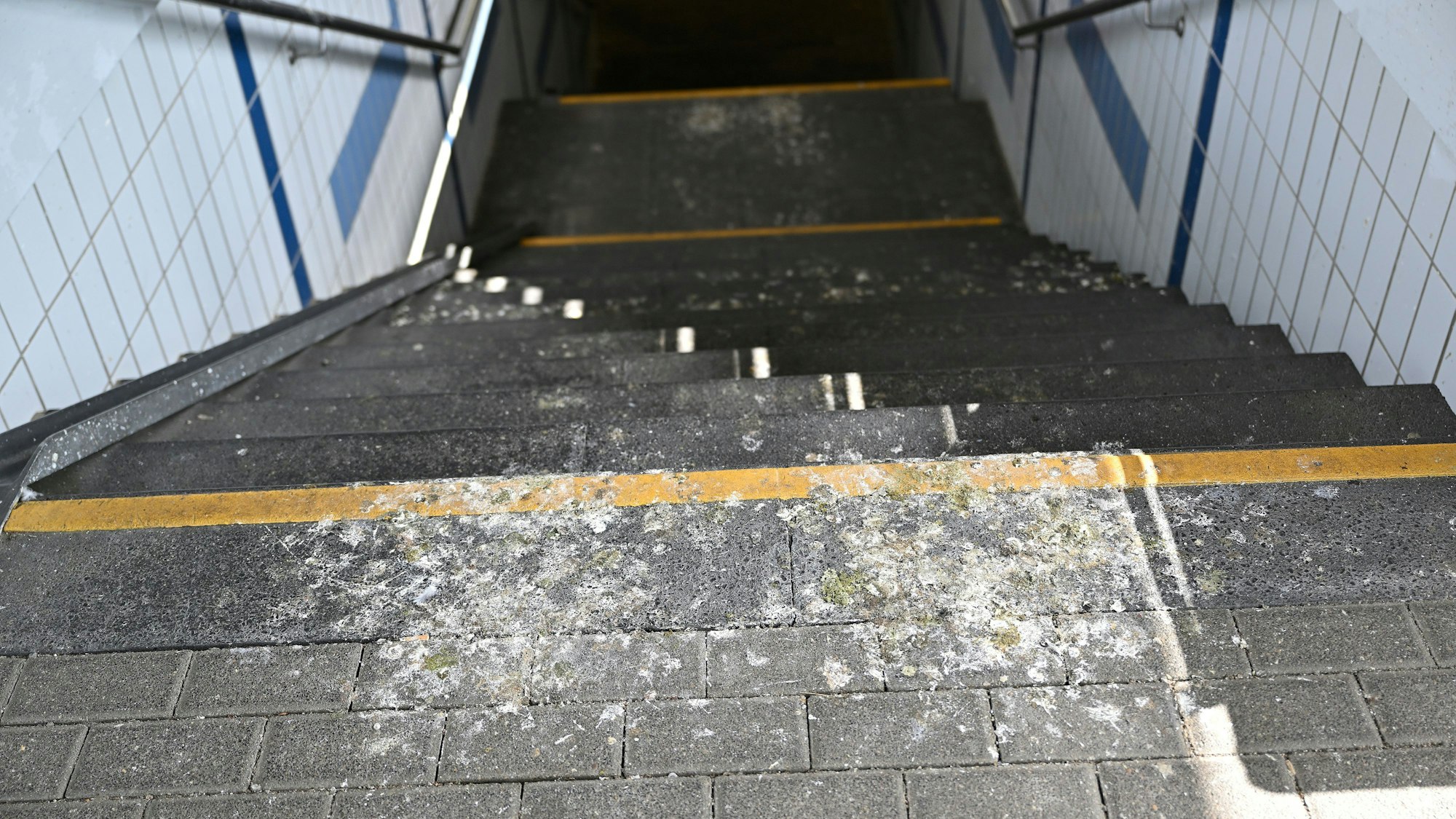 Taubenkot verschmutzt auch den Treppenaufgang zum Bahnsteig des Bahnhofs Hoffnungsthal.