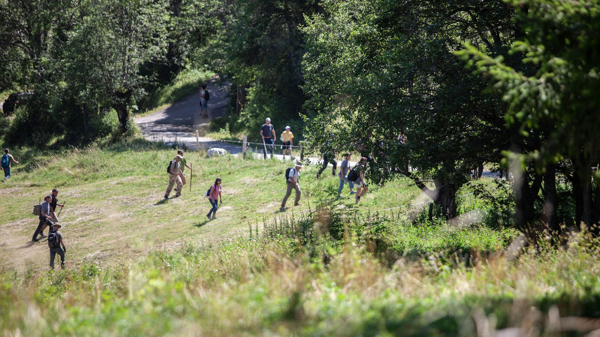 Mehrere Freiwillige suche gemeinsam mit der französischen Polizei nach dem vermissten Émile. Der Junge war Anfang Juli spurlos im Alpendorf Le Vernet verschwunden.