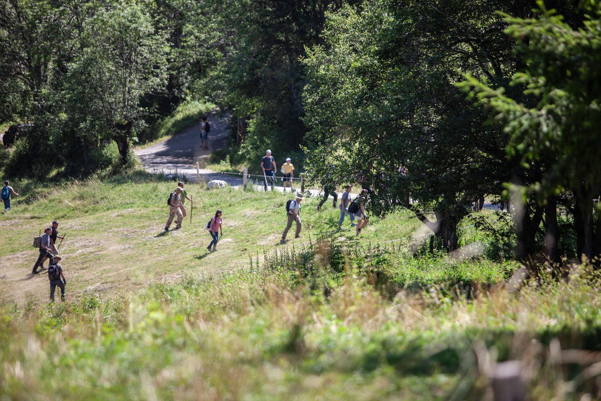Freiwillige und die französische Gendarmerie suchen die Felder und Wälder in der Nähe von Le Vernet nach dem vermissten Émile ab.