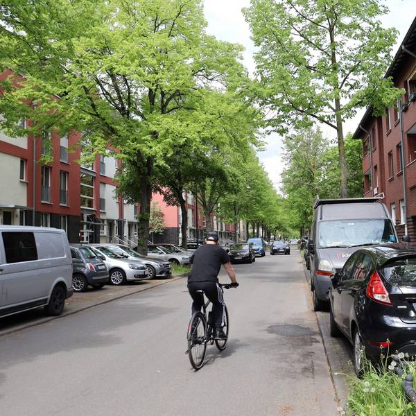Ein Fahrradfahrer fährt zwischen Autos her.