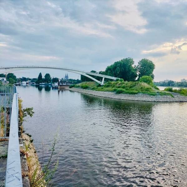 eine Brücke führt zu einer Insel im Rhein