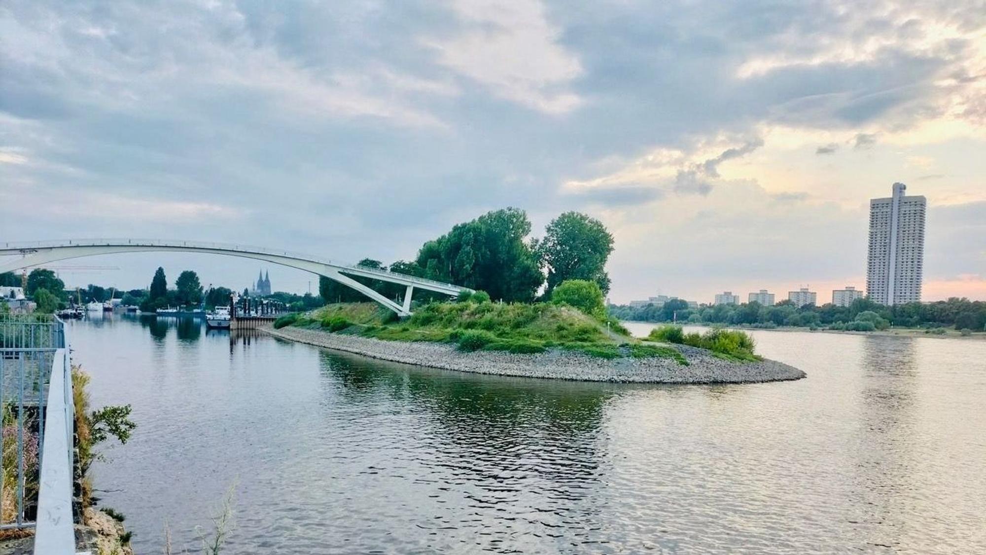 eine Brücke führt zu einer Insel im Rhein