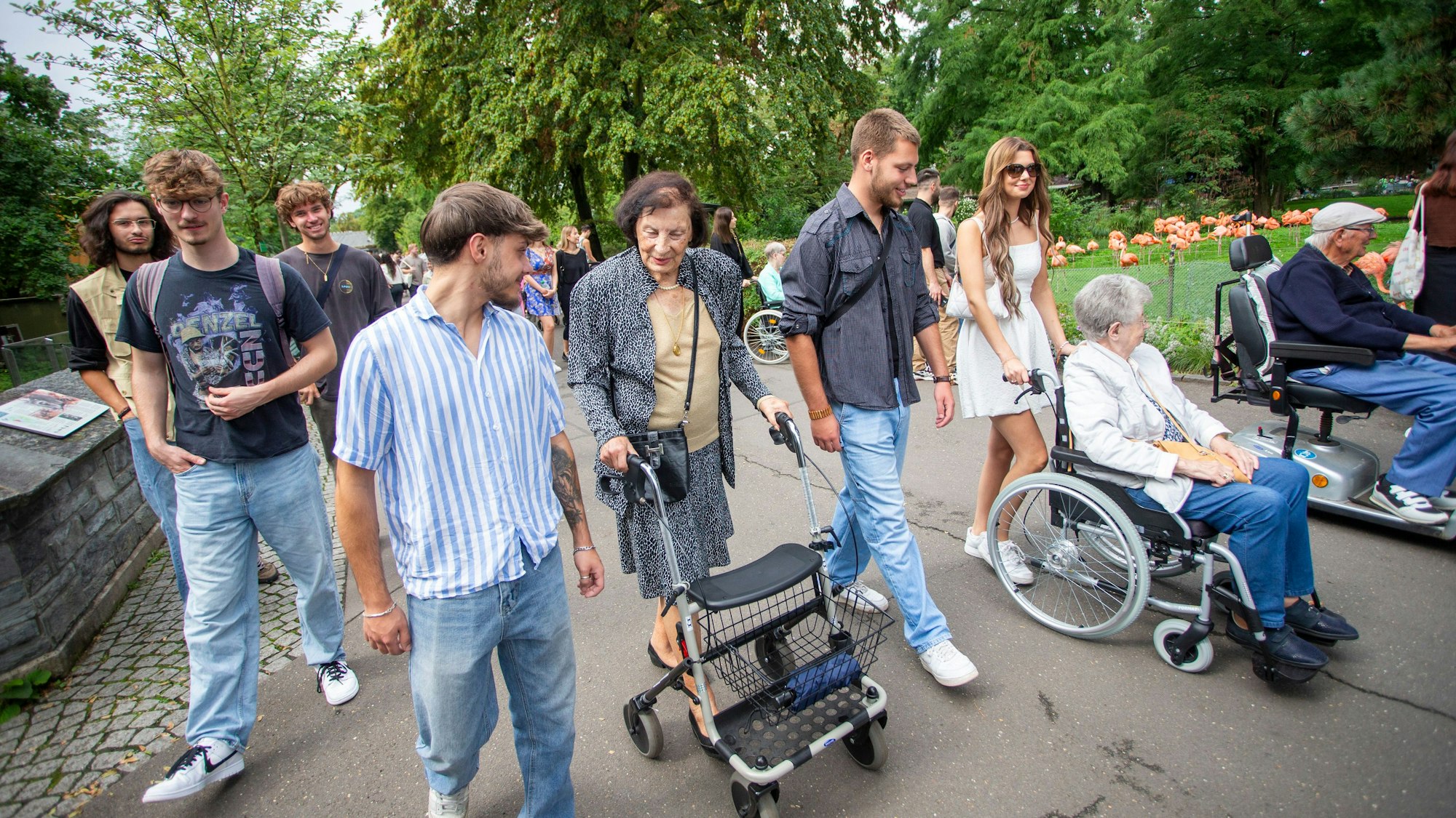 Junge Erwachsene spazieren mit Senioren durch den Kölner Zoo.