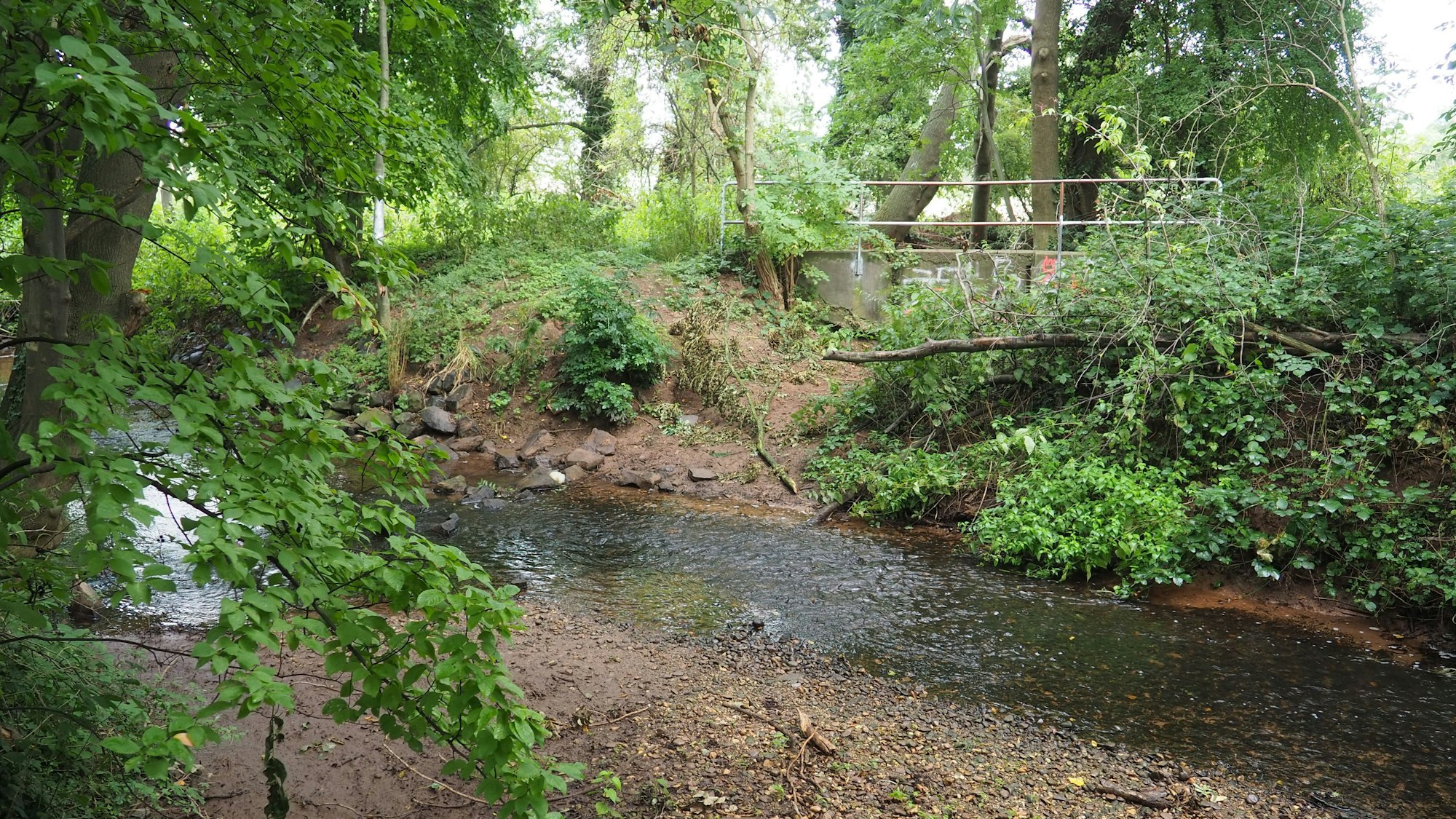 Ein Bach fließt schnurgerade zwischen hohen Ufern.