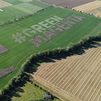 Eine Luftaufnahme zeigt einen Acker bei Flamersheim mit Millionen von Blühpflanzen, die das Telekom-Logo und den Slogan „#Green Magenta“ bilden.