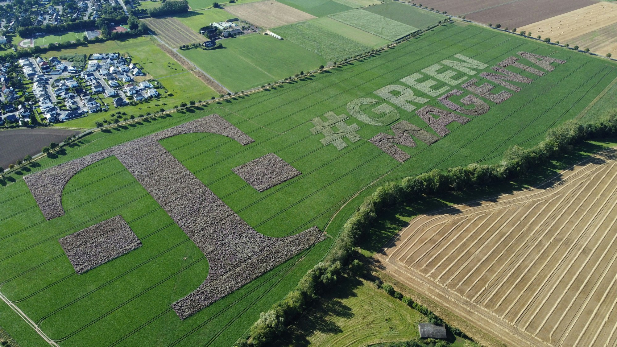 Eine Luftaufnahme zeigt einen Acker bei Flamersheim mit Millionen von Blühpflanzen, die das Telekom-Logo und den Slogan „#Green Magenta“ bilden.