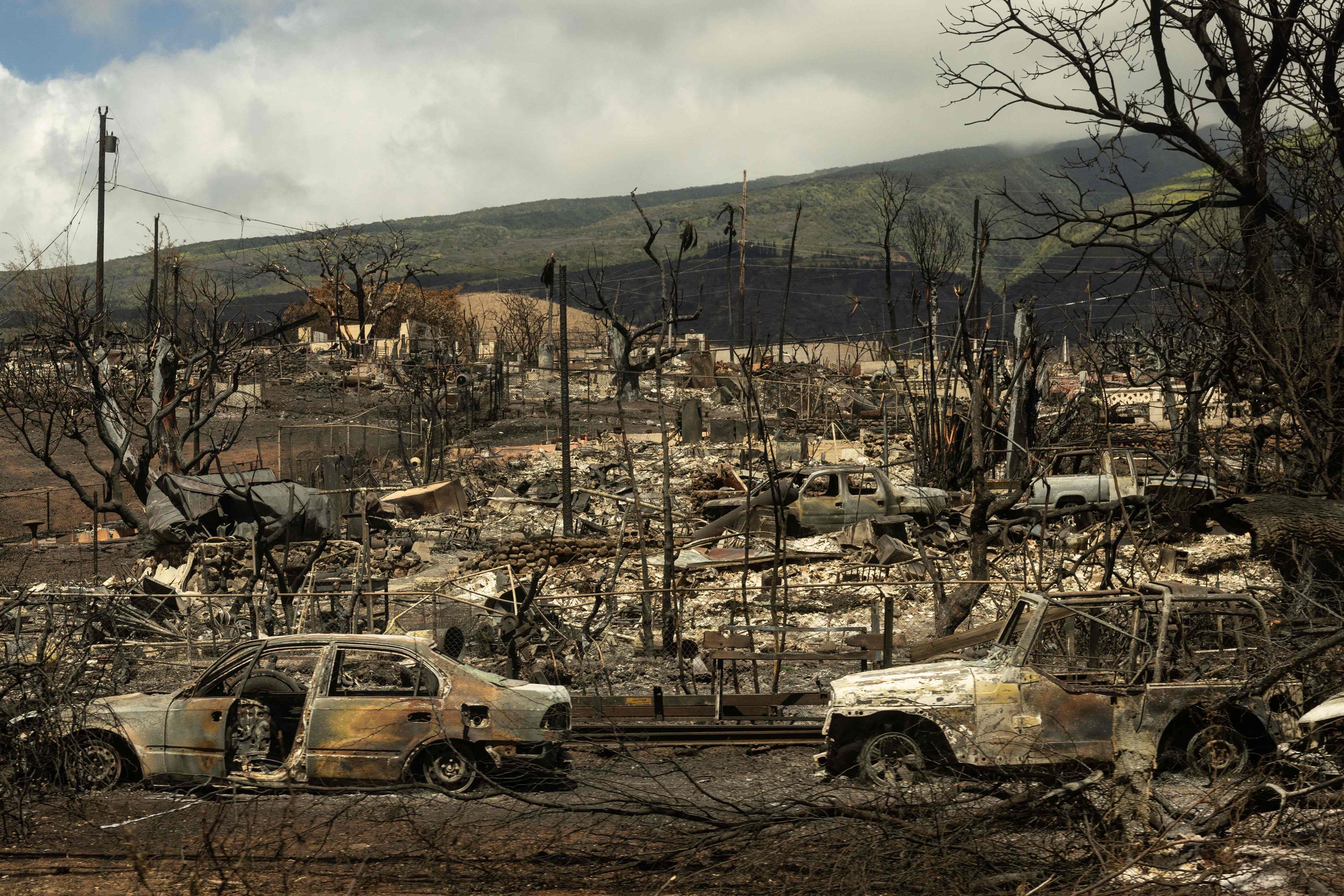 Carcasses of cars can be seen among the ashes of burnt neighborhood in the aftermath of a wildfire, is seen in Lahaina, western Maui, Hawaii on August 14, 2023. The death toll in Hawaii's wildfires rose to 99 and could double over the next 10 days, the state's governor said August 14, as emergency personnel painstakingly scoured the incinerated landscape for more human remains.
Last week's inferno on the island of Maui is already the deadliest US wildfire in a century, with only a quarter of the ruins of the devastated town of Lahaina searched for victims so far. (Photo by Yuki IWAMURA / AFP)