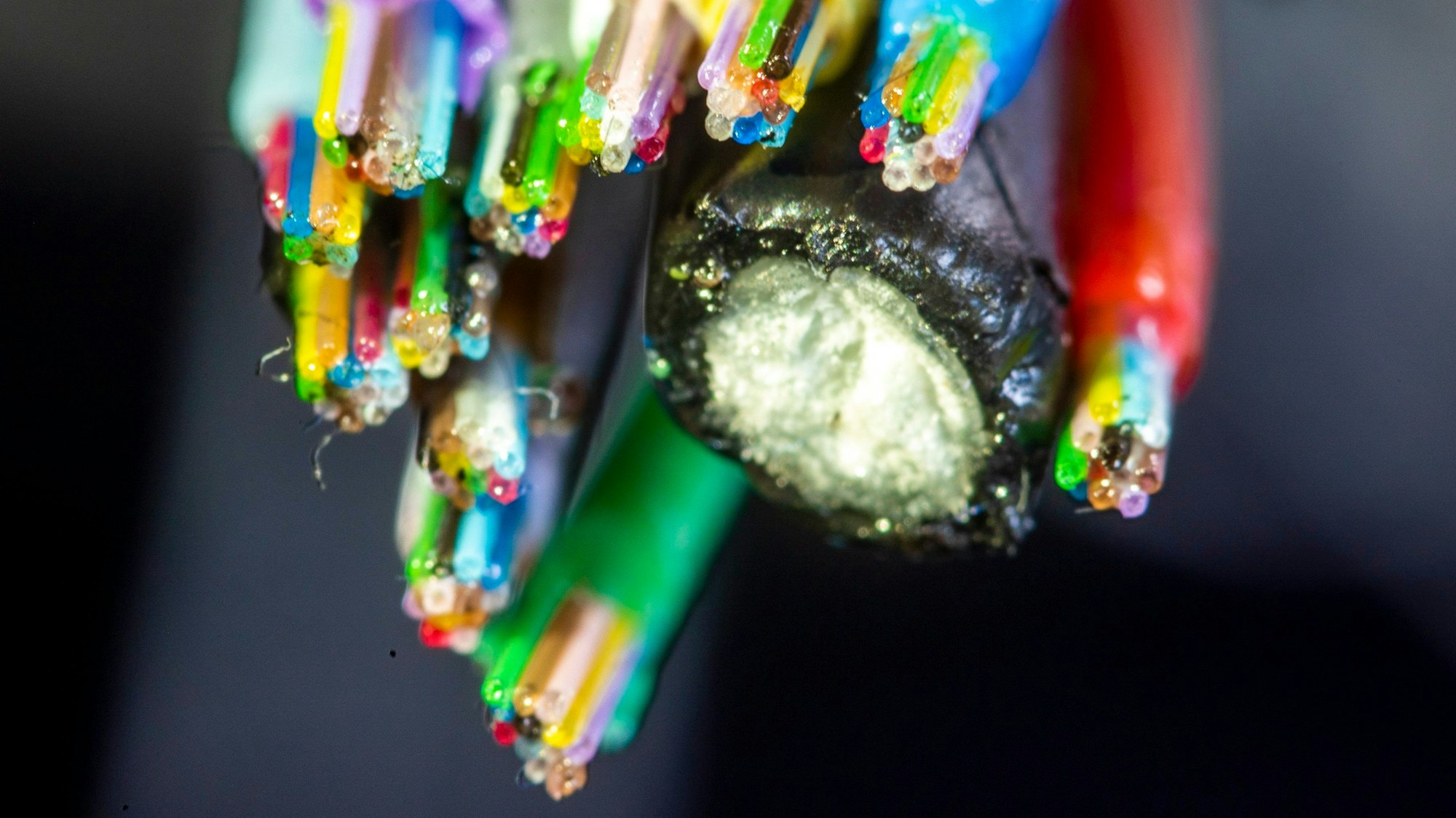 Eine Detailaufnahme zeigt die einzelnen, bunten Faserbündel eines Glasfaserkabels. (Illustration)