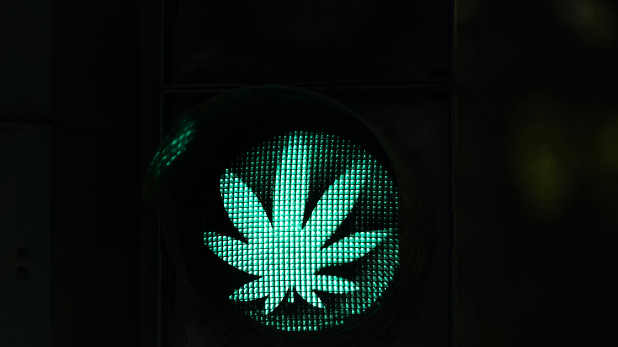 Die Cannabis-Legalisierung in Deutschland kann kommen. Das Bundeskabinett beschloss einen entsprechenden Gesetzesentwurf.