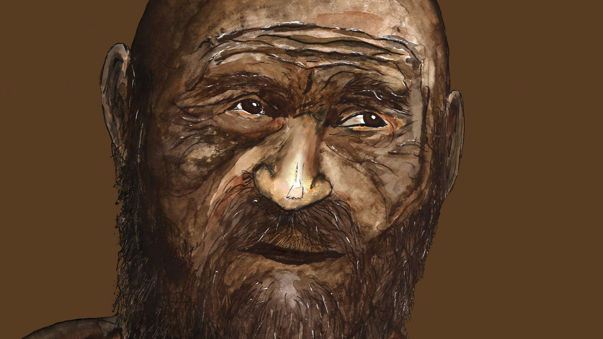 Eine Genomanalyse verrät, wie der Gletschermann Ötzi zu Lebzeiten aussah.