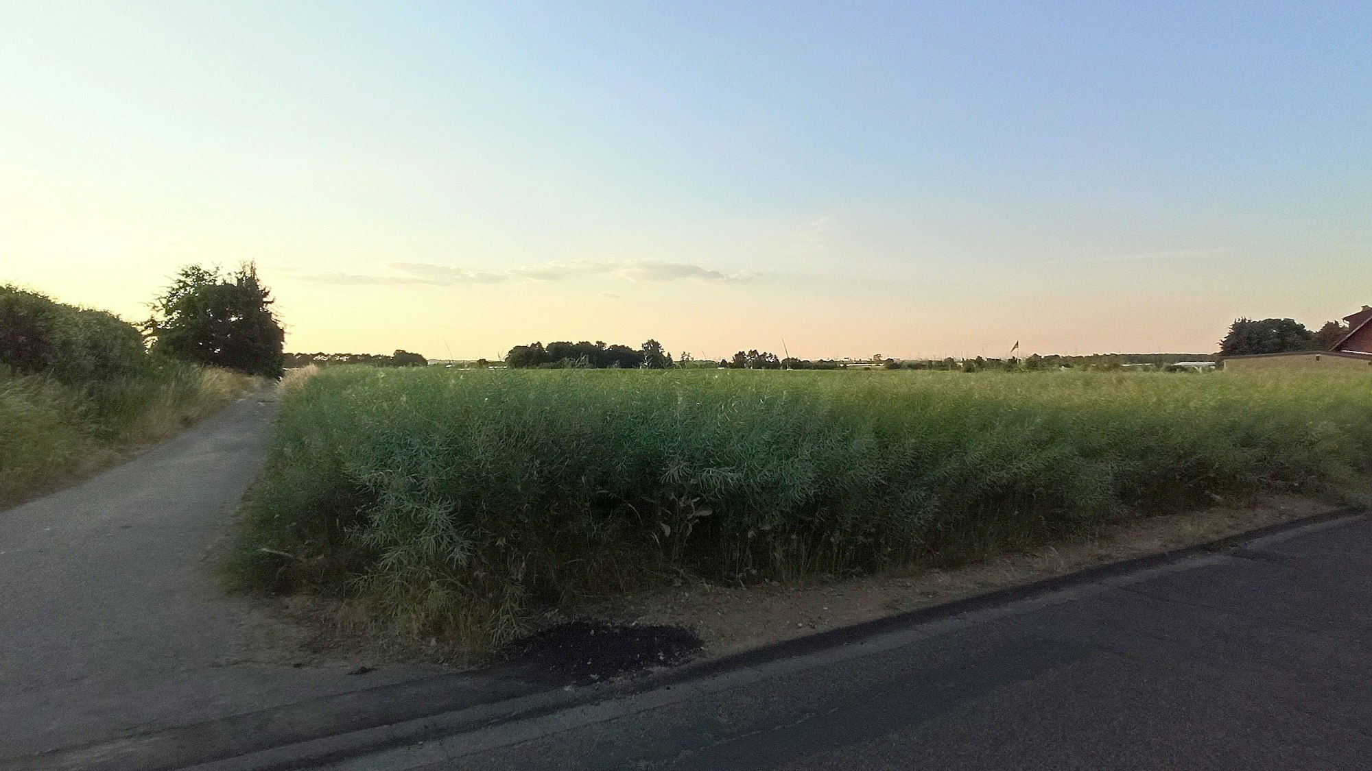 Entlang der Händelstraße entstehen das Neubaugebiet Me 18 und der Neubau der Heinrich-Böll-Gesamtschule.