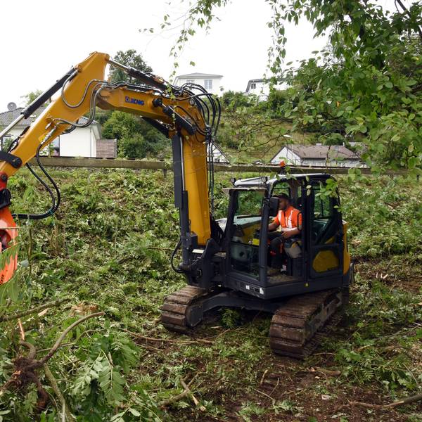 Ein Bagger mit Greifarm steht in einer abgeholzten Böschung und sortiert abgetrennte Äste von Bäumen.
