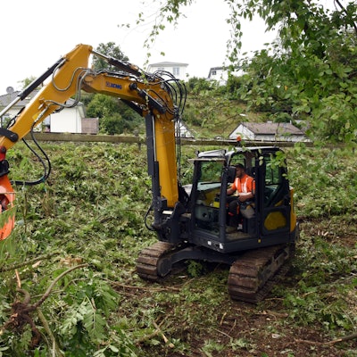 Ein Bagger mit Greifarm steht in einer abgeholzten Böschung und sortiert abgetrennte Äste von Bäumen.