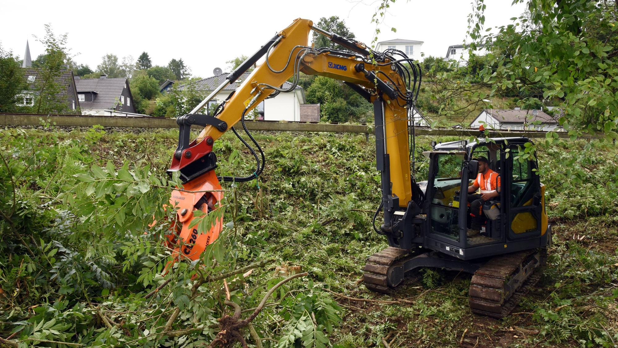 Ein Bagger mit Greifarm steht in einer abgeholzten Böschung und sortiert abgetrennte Äste von Bäumen.