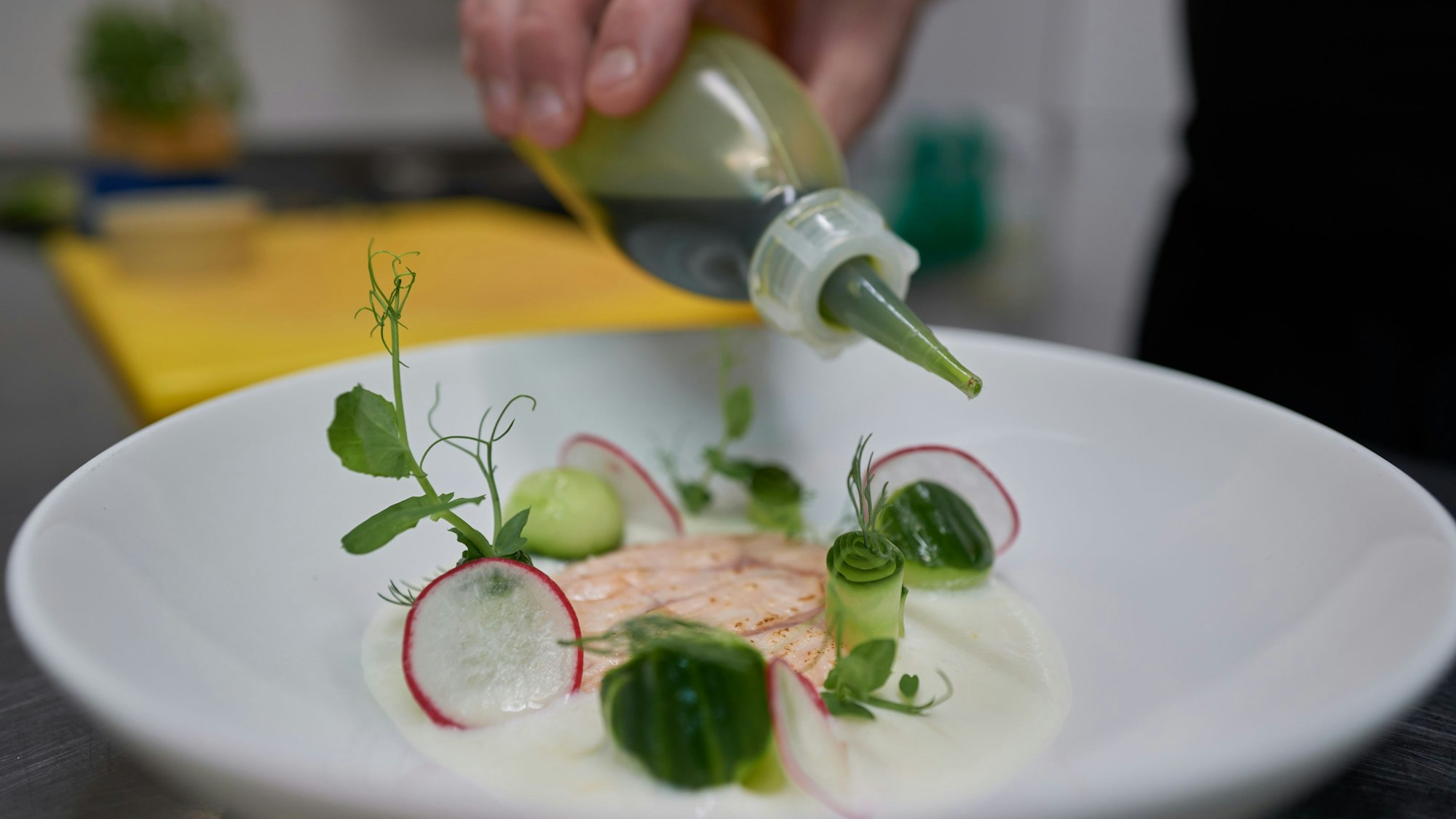 Marinierter Elsässer Saibling mit Buttermilch, Zitrus und Gurke