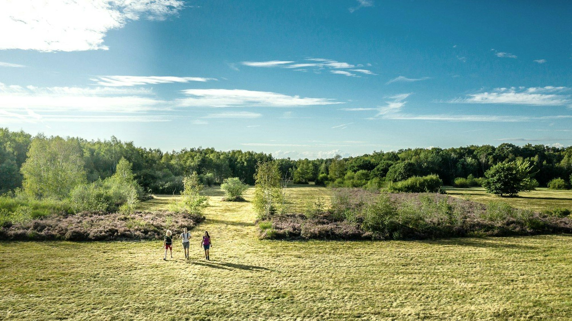Wandern in der Drover Heide