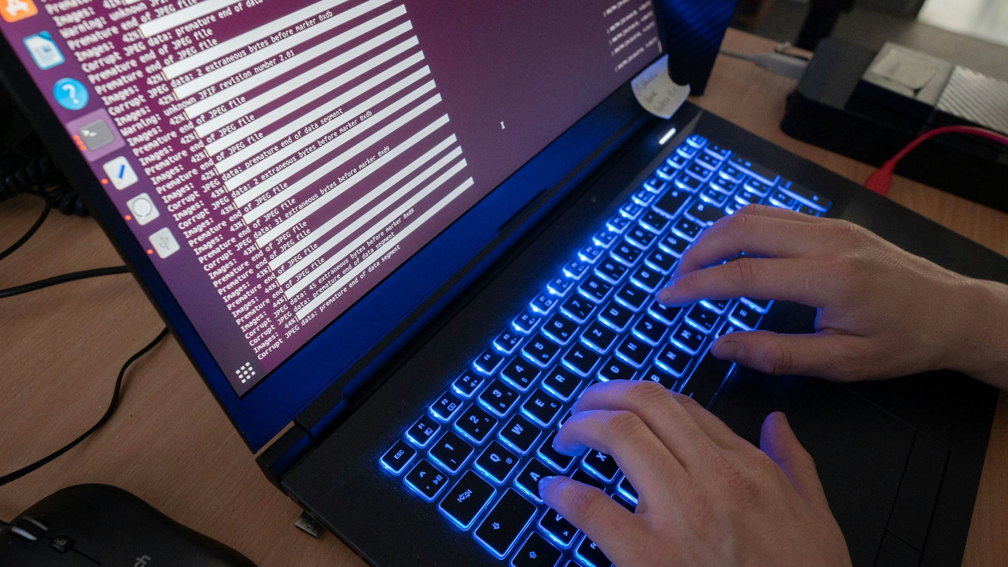 Eine Wissenschaftlerin des Landeskriminalamtes arbeitet an Computerbildschirmen.