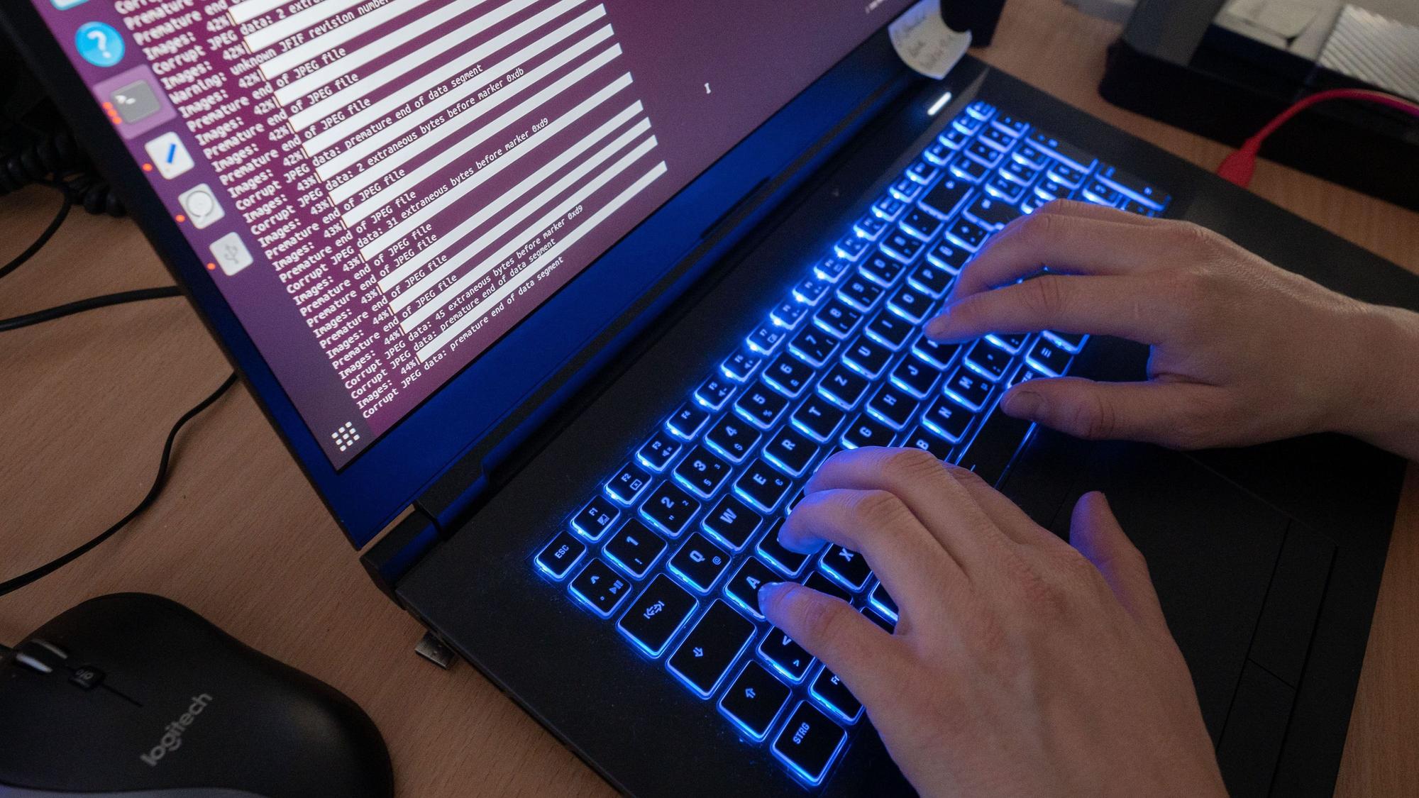 Eine Wissenschaftlerin eines Landeskriminalamtes arbeitet an Computerbildschirmen.
