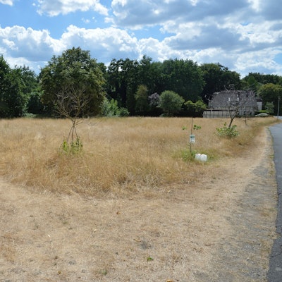 Das Foto zeigt die Lena-Wiese in Lückerath