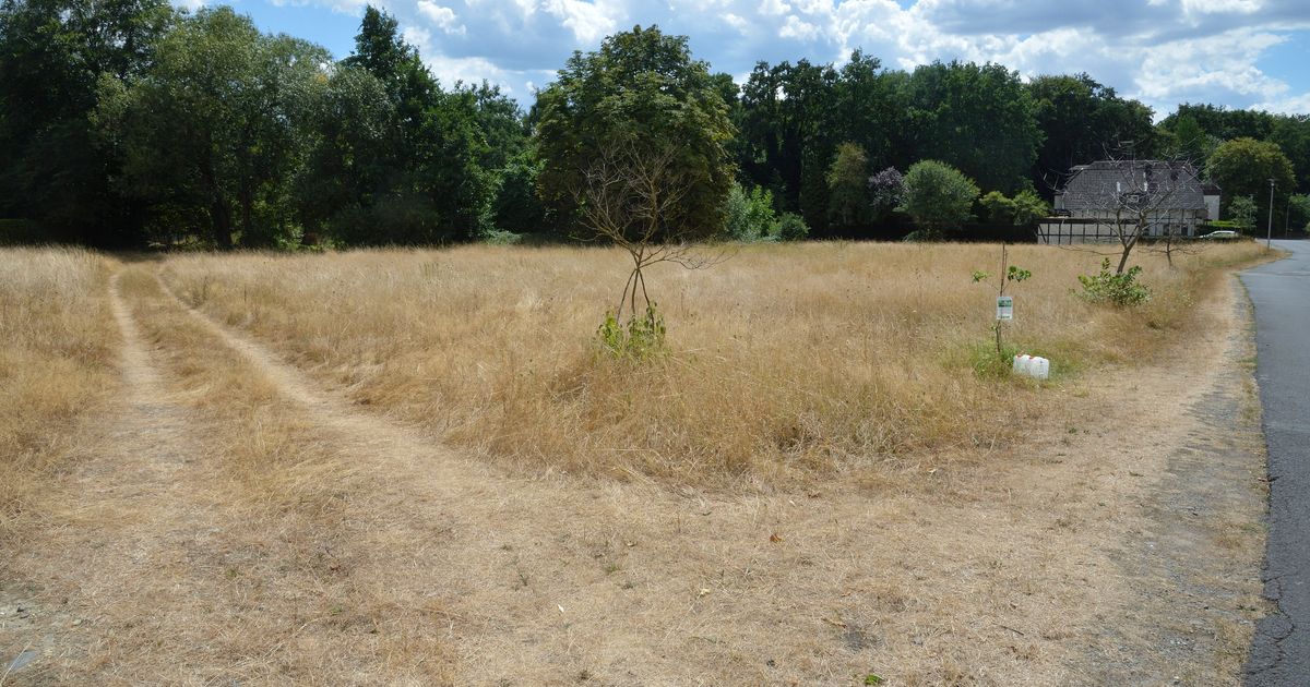 Kita-Bau: Bergisch Gladbach plant auch mit der Lena-Wiese - Rundschau ...