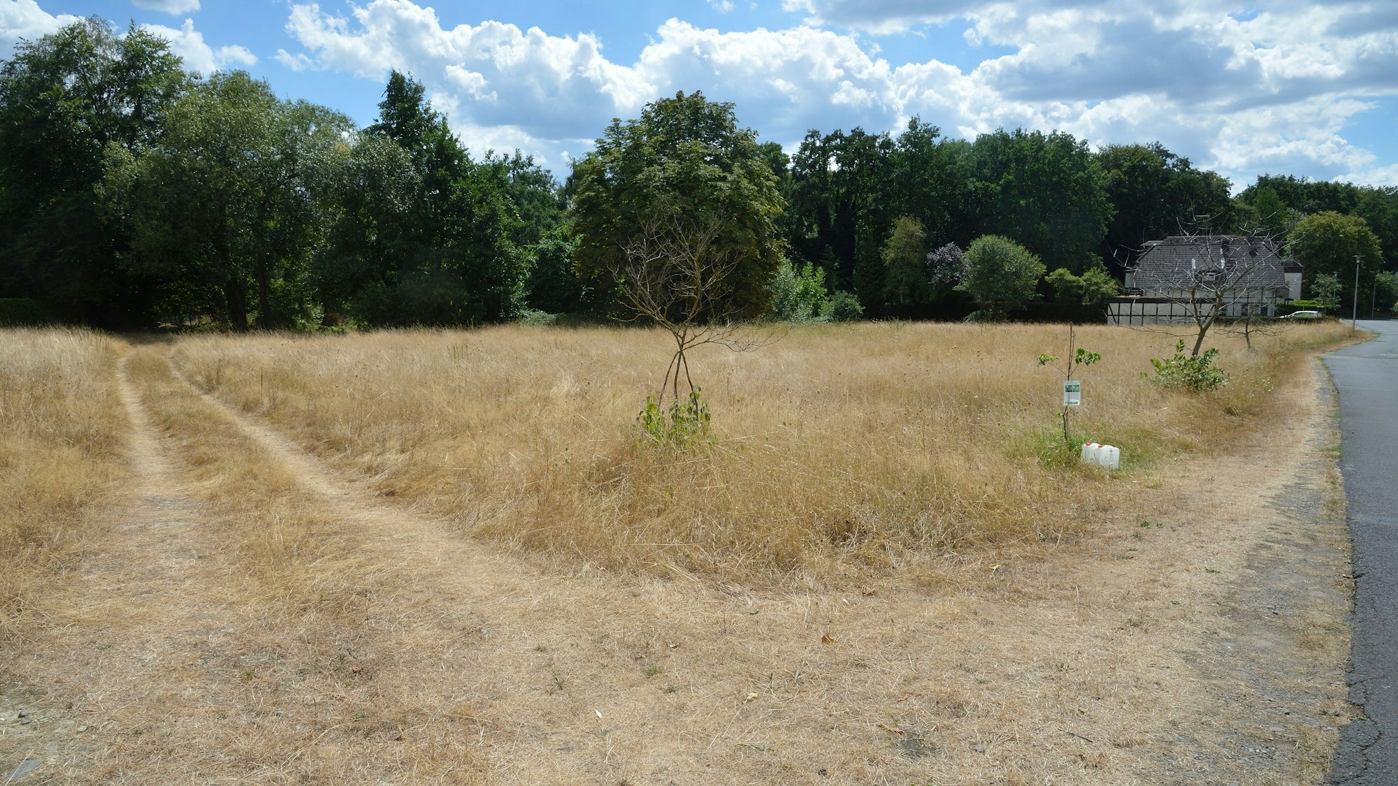 Das Foto zeigt die Lena-Wiese in Lückerath