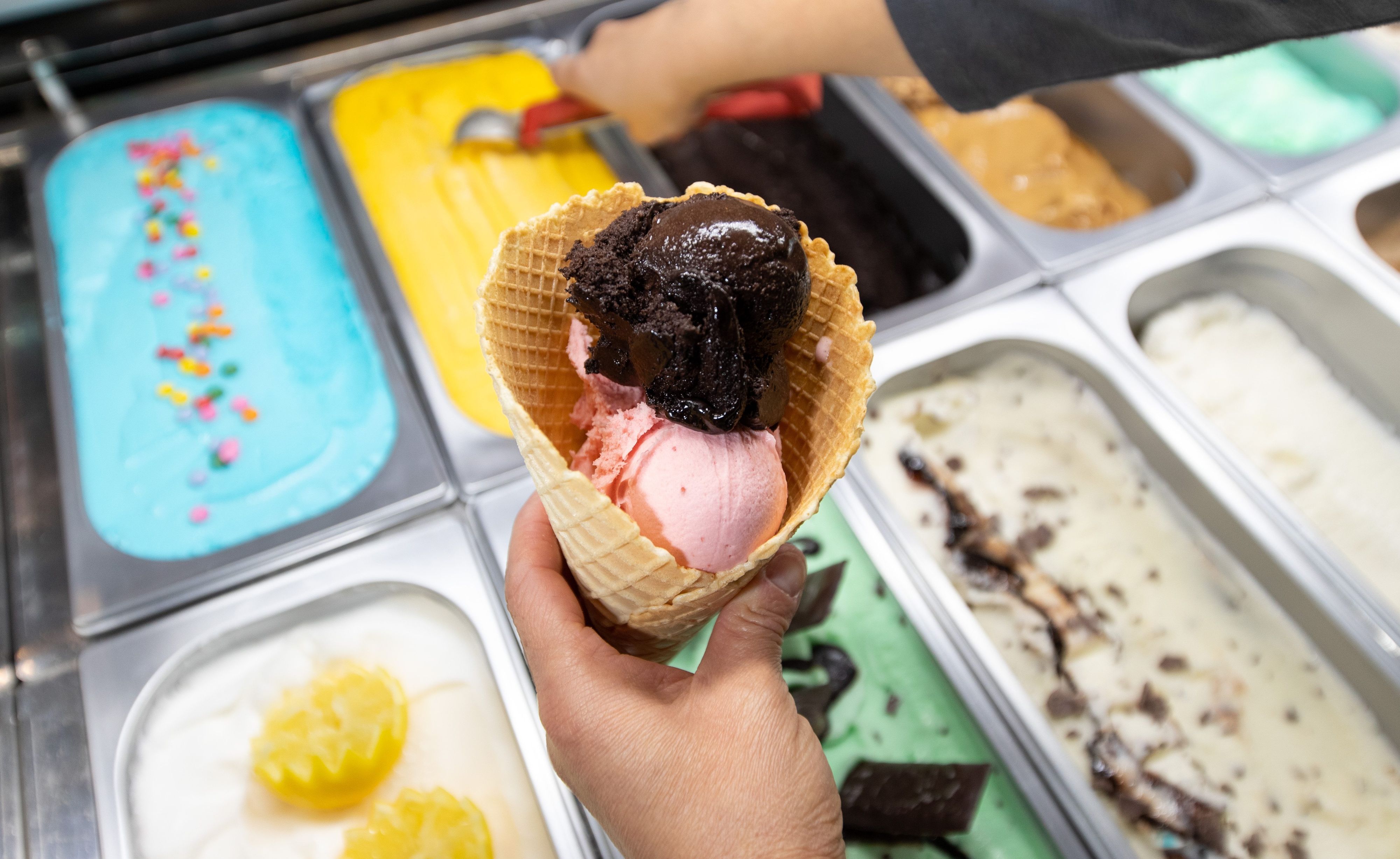 Eine Waffel wird in einer Eisdiele mit Eiskugeln verschiedener Sorten gefüllt.