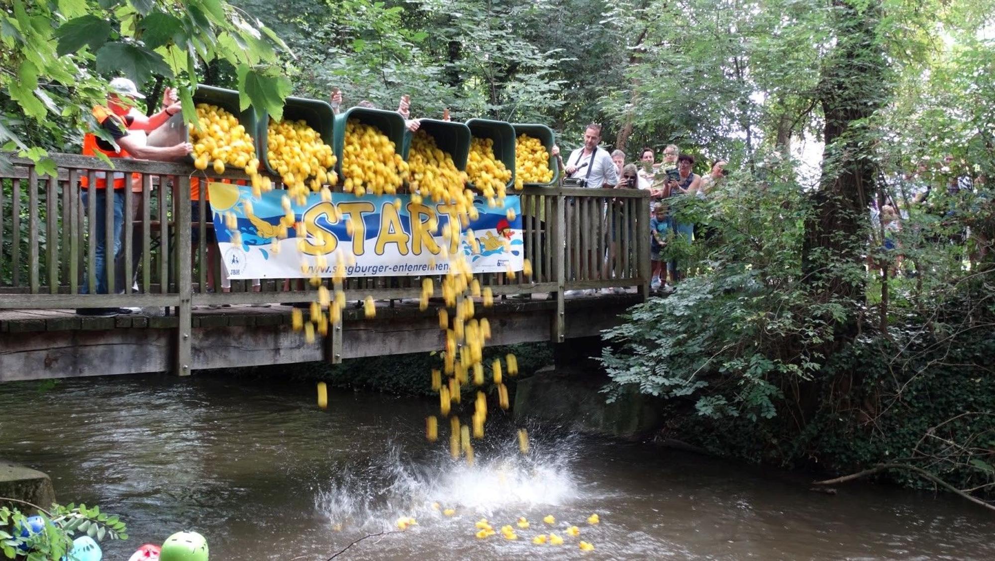 Aus großen Kübeln schütten Männer die Gummienten von einer Holzbrücke ins Wasser, Zuschauer beobachten dies.