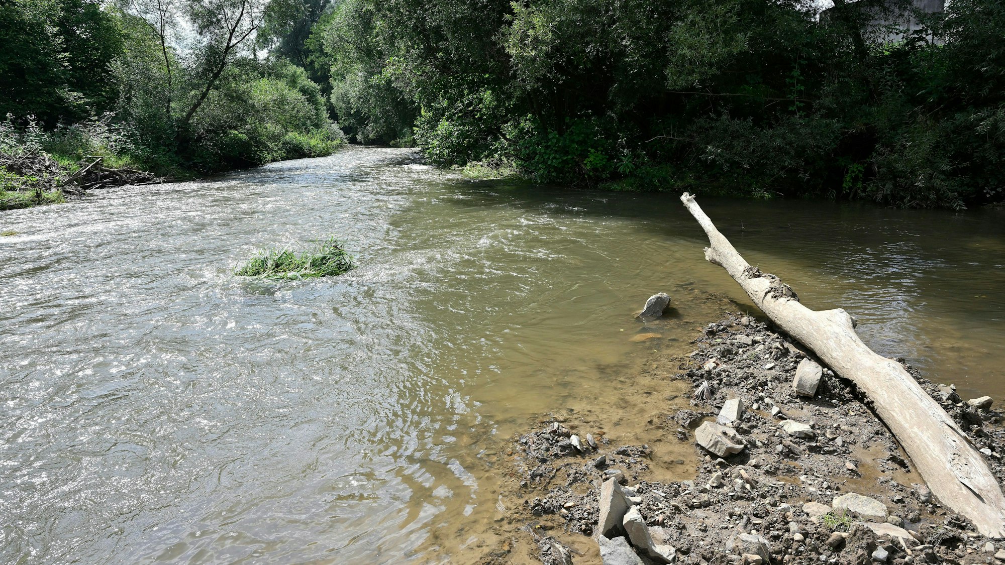 Die Sülz fließt wieder ohne Hindernis.