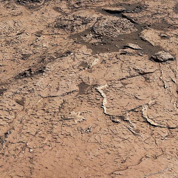 Eine Aufnahme des Mars-Rovers „Curiosity“ zeigt die sechseckigen Schlammplatten auf der Oberfläche des Mars. Forscher der Nasa sehen darin Hinweise auf erdähnliche Bedingungen auf dem Mars.