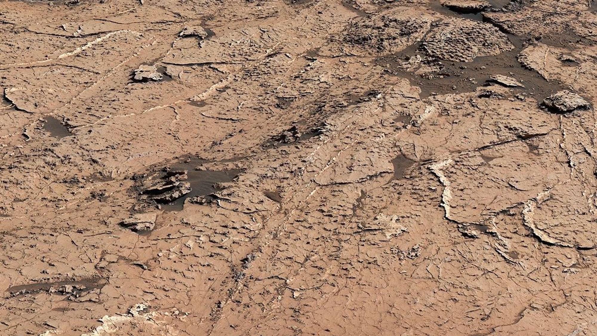 Eine Aufnahme des Mars-Rovers „Curiosity“ zeigt die sechseckigen Schlammplatten auf der Oberfläche des Mars. Forscher der Nasa sehen darin Hinweise auf erdähnliche Bedingungen auf dem Mars.