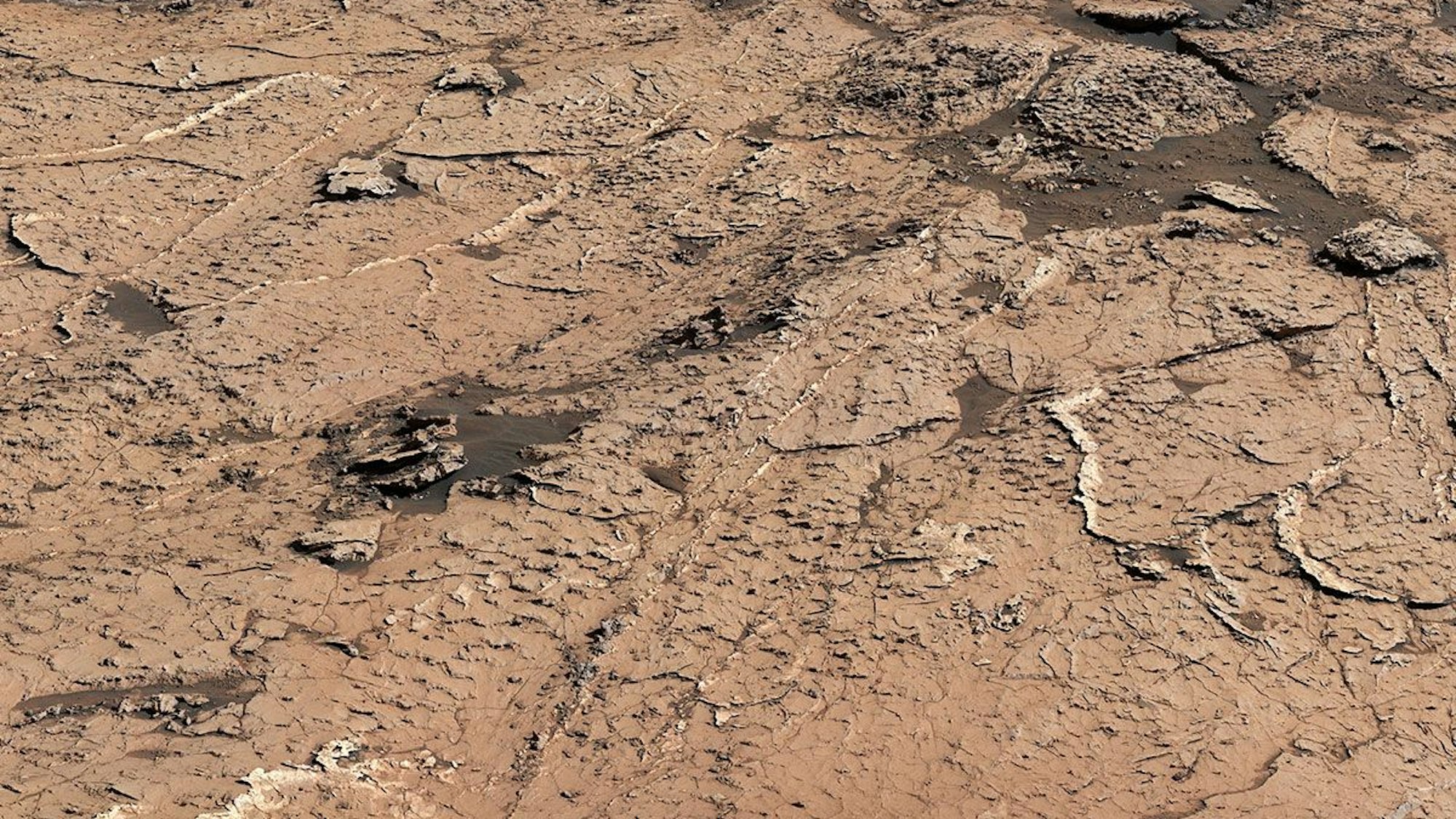 Der Mars-Rover „Curiosity“ hat auf der Oberfläche des roten Planeten weitere Hinweis auf Leben gefunden. Sechseckige Schlammplatten deuten darauf hin, dass es dort einmal erdähnliche Bedingungen gab.
