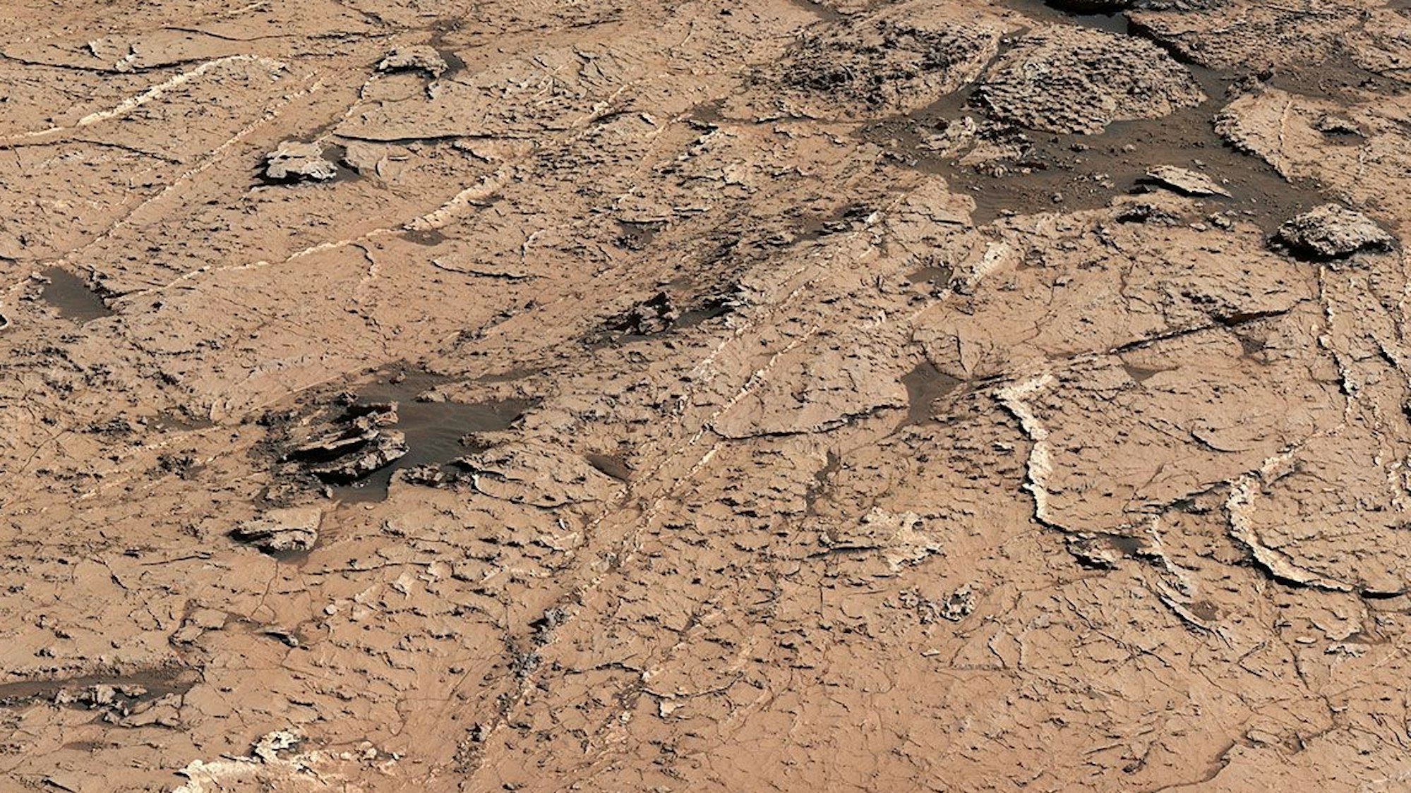 Eine Aufnahme des Mars-Rovers „Curiosity“ zeigt die Oberfläche des roten Planeten. Die Nasa hat die Aufnahme ihres Gefährts veröffentlicht.