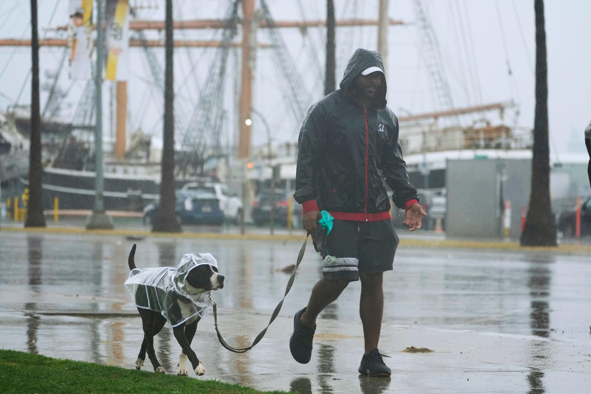Ein Mann und sein Hund trotzen dem starken Regen durch Sturm „Hilary“.