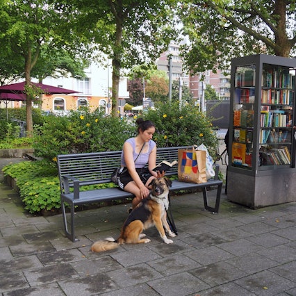 Am Bücherschrank am Südfriedhof steht seit Kurzem eine Bank.