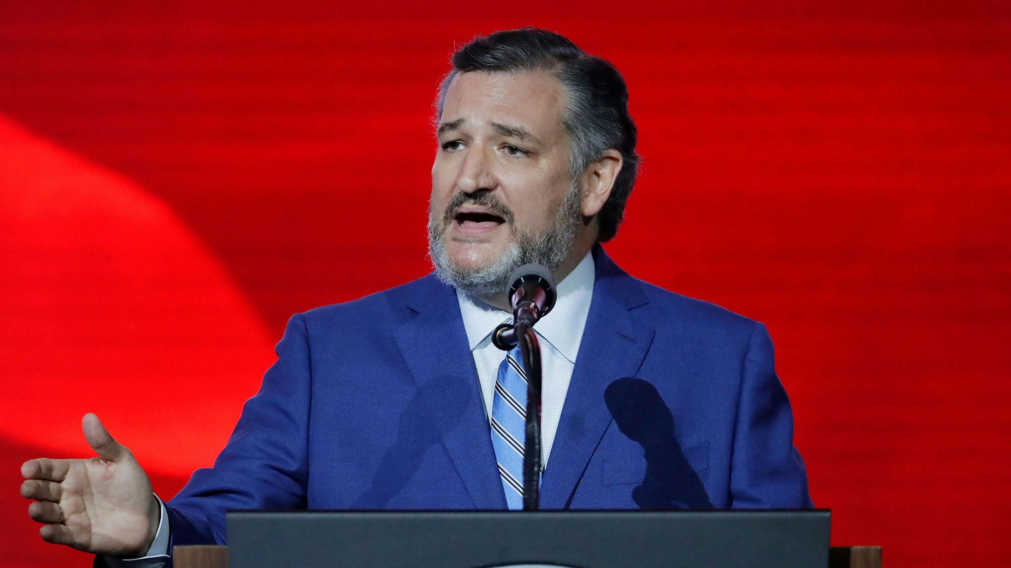 Senator Ted Cruz ist auf ein Hai-Hoax hereingefallen.