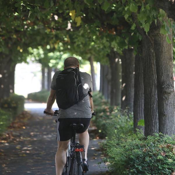 Ein Radfahrer fährt über die Rheinpromenade in Königswinter.