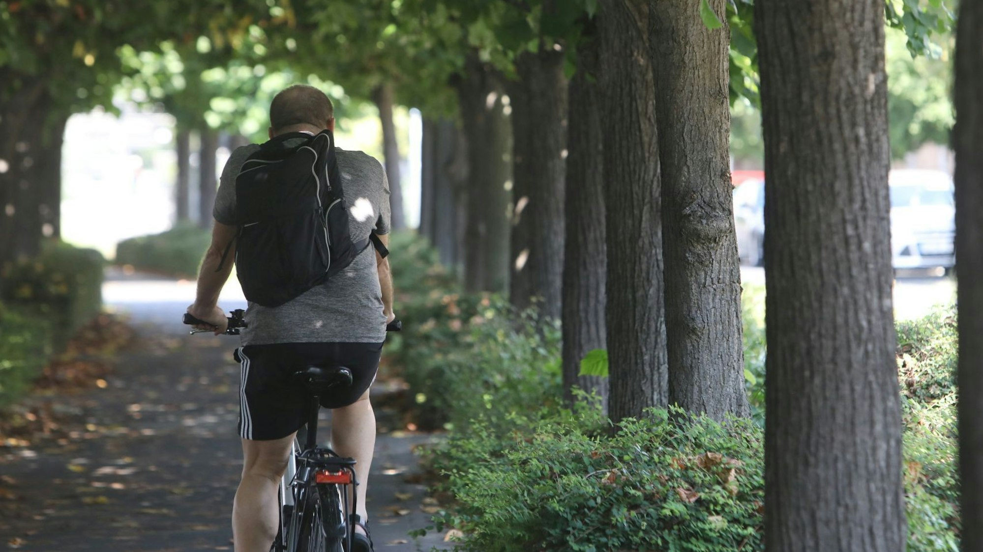 Ein Radfahrer fährt über die Rheinpromenade in Königswinter.