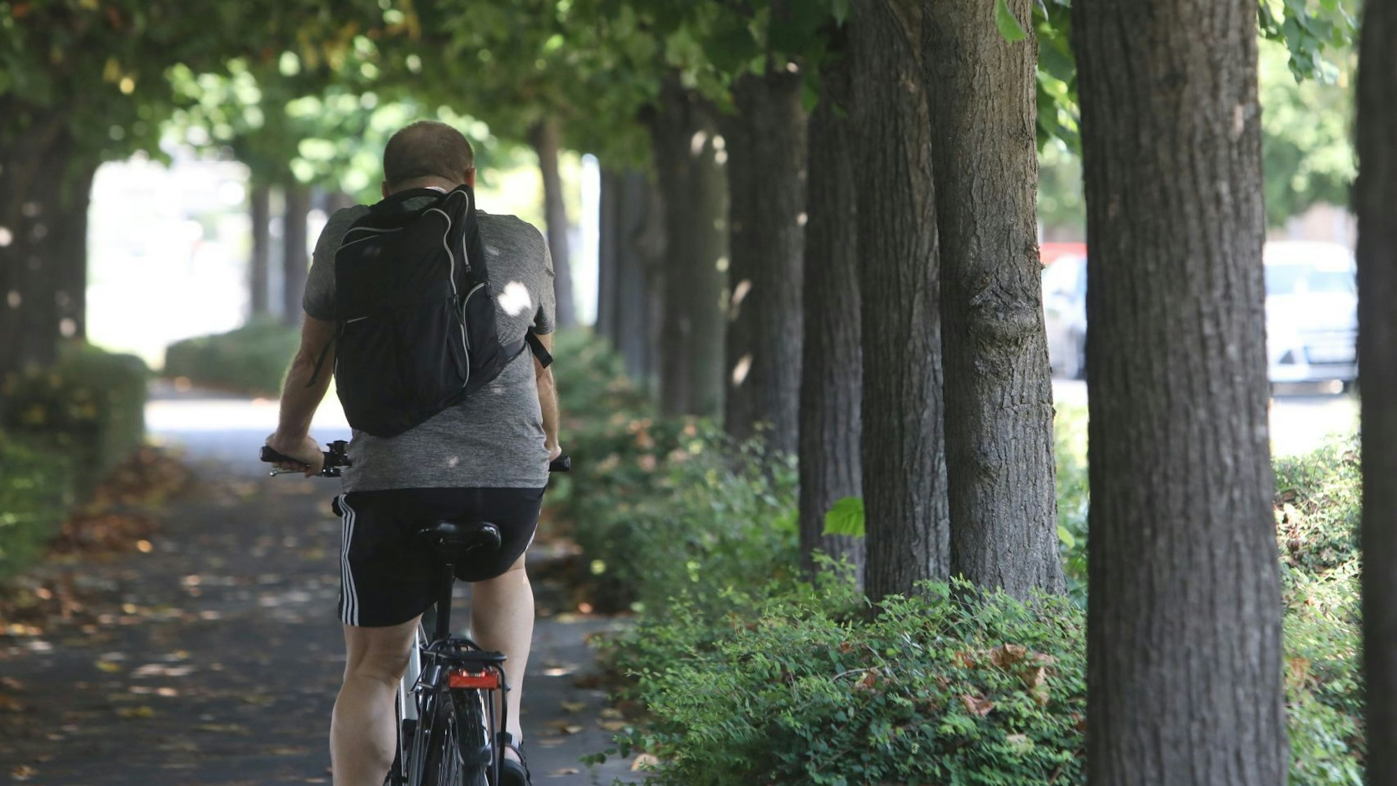 Ein Radfahrer fährt über die Rheinpromenade in Königswinter.