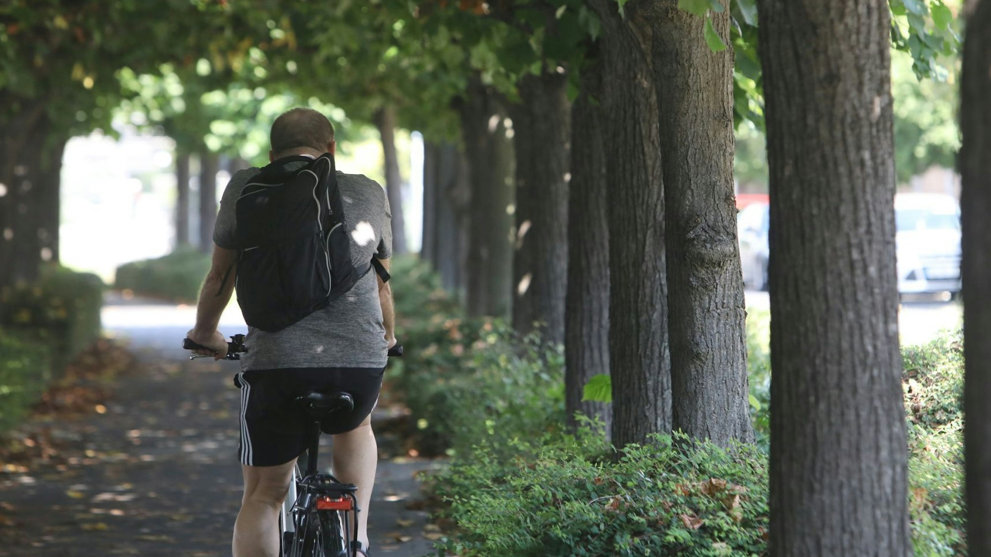 Ein Radfahrer fährt über die Rheinpromenade in Königswinter,