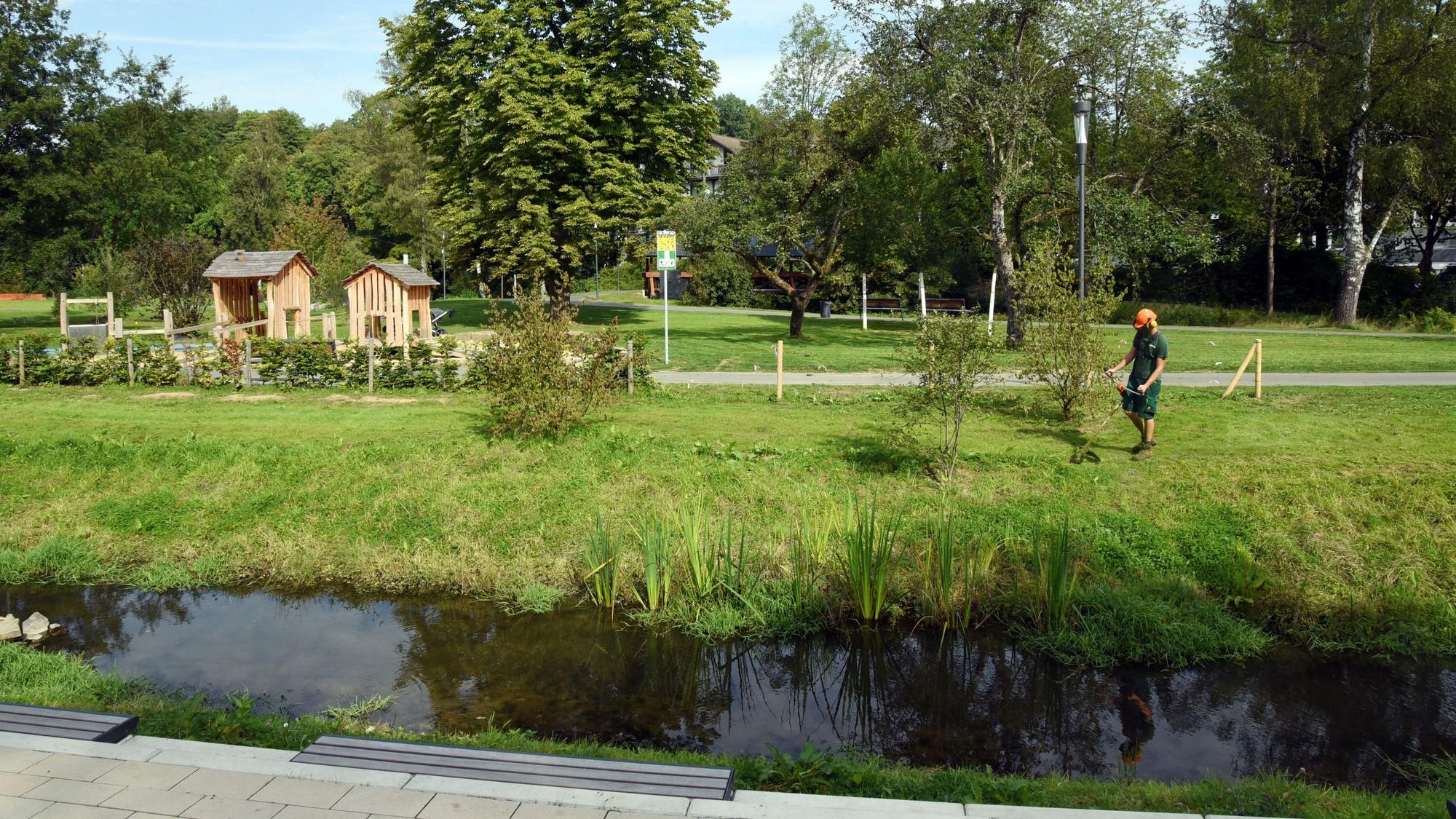 Ein Mann mäht mit einer Elektrosense eine Wiese im Wiehlpark.
